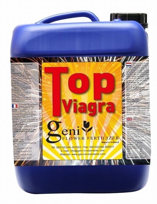 Geni Top Viagra - verschiedene Größen