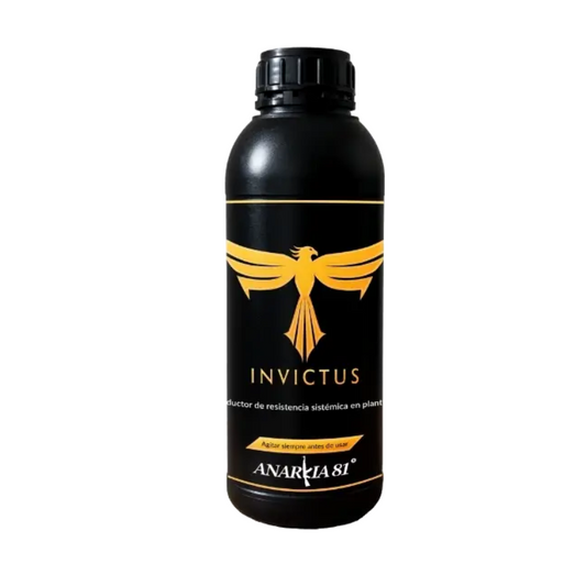 Invictus - verschiedene Größen