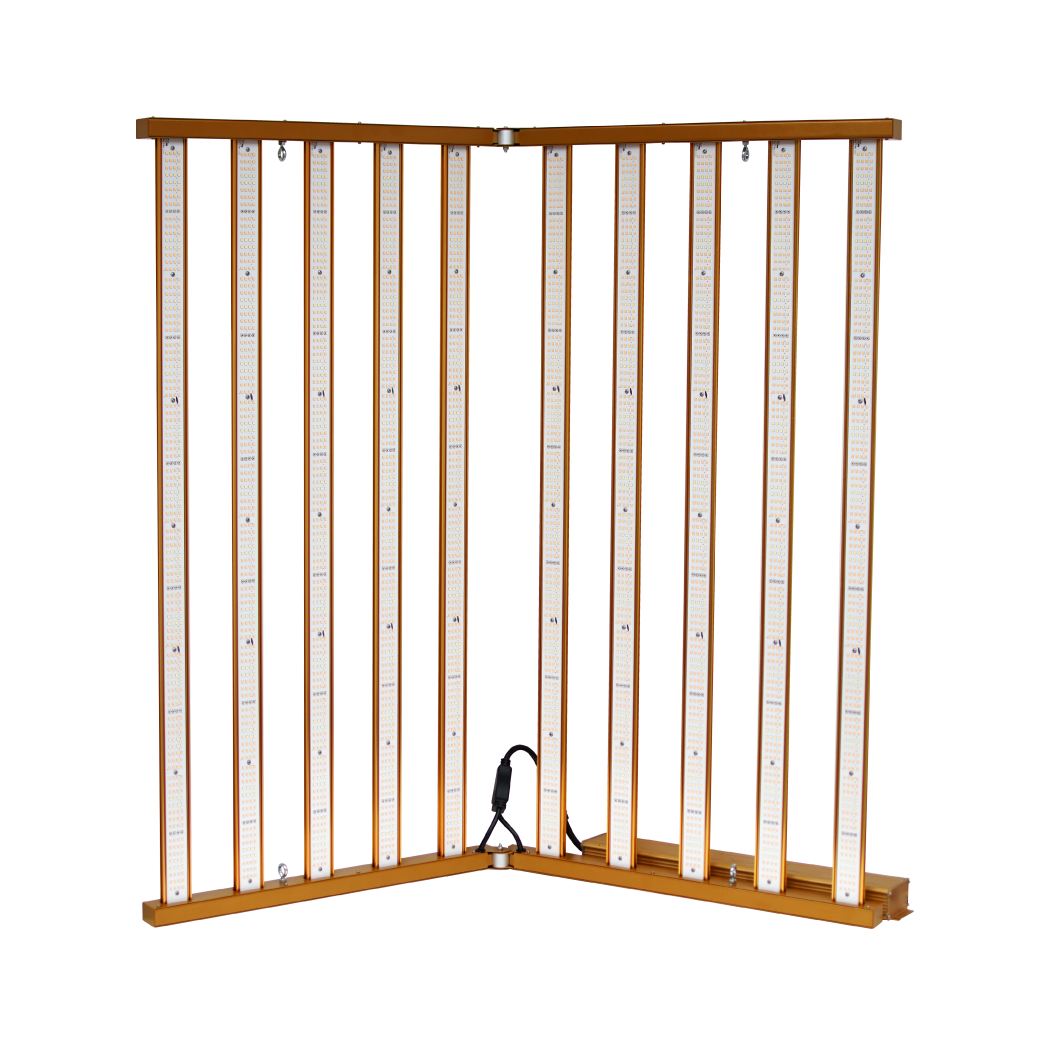 MJ3 Elelectronics LED GOLDPRO SUPERMAX EVO 1000W