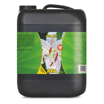 Atami ATA-XL - verschiedene Größen