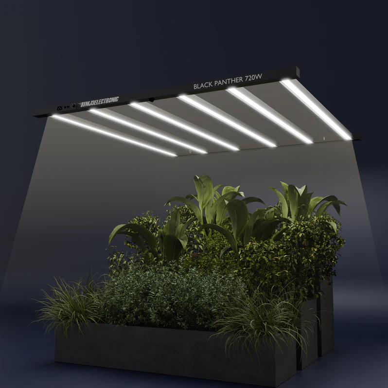 MJ3Electronic Black Panther LED 720W – High-End LED Growlampe