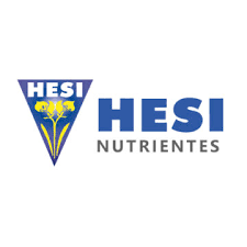 Hesi