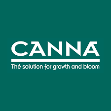 Canna