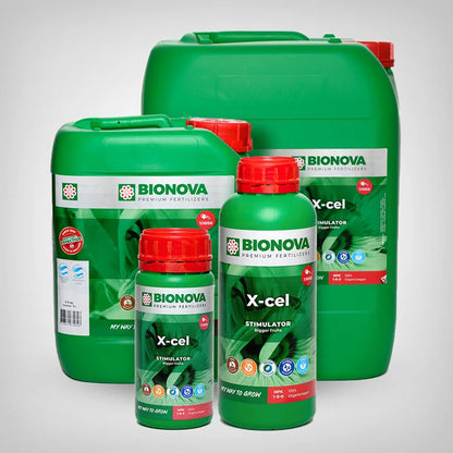 Bio Nova X-Cel - verschiedene Größen
