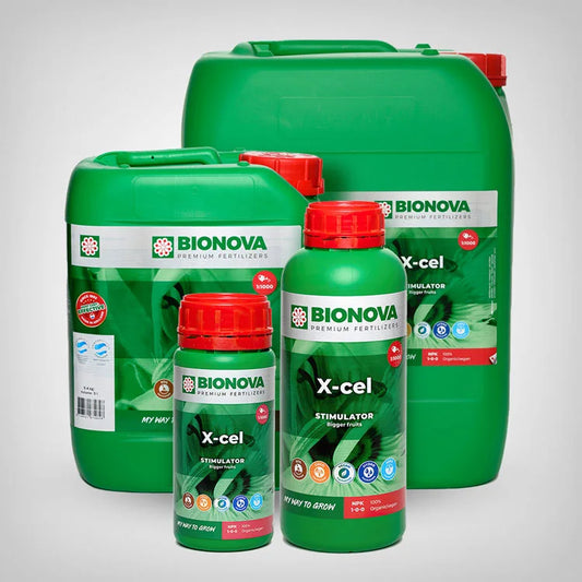 Bio Nova X-Cel - verschiedene Größen