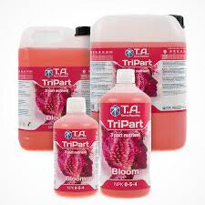- T.A. TriPart Bloom Flaschen und Kanister
- Anwendung TriPart Bloom im Nährstofftank
- TriPart Serie Bloom, Grow, Micro zusammen