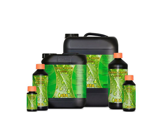 Atami - Terra Leaves - verschiedene Größen