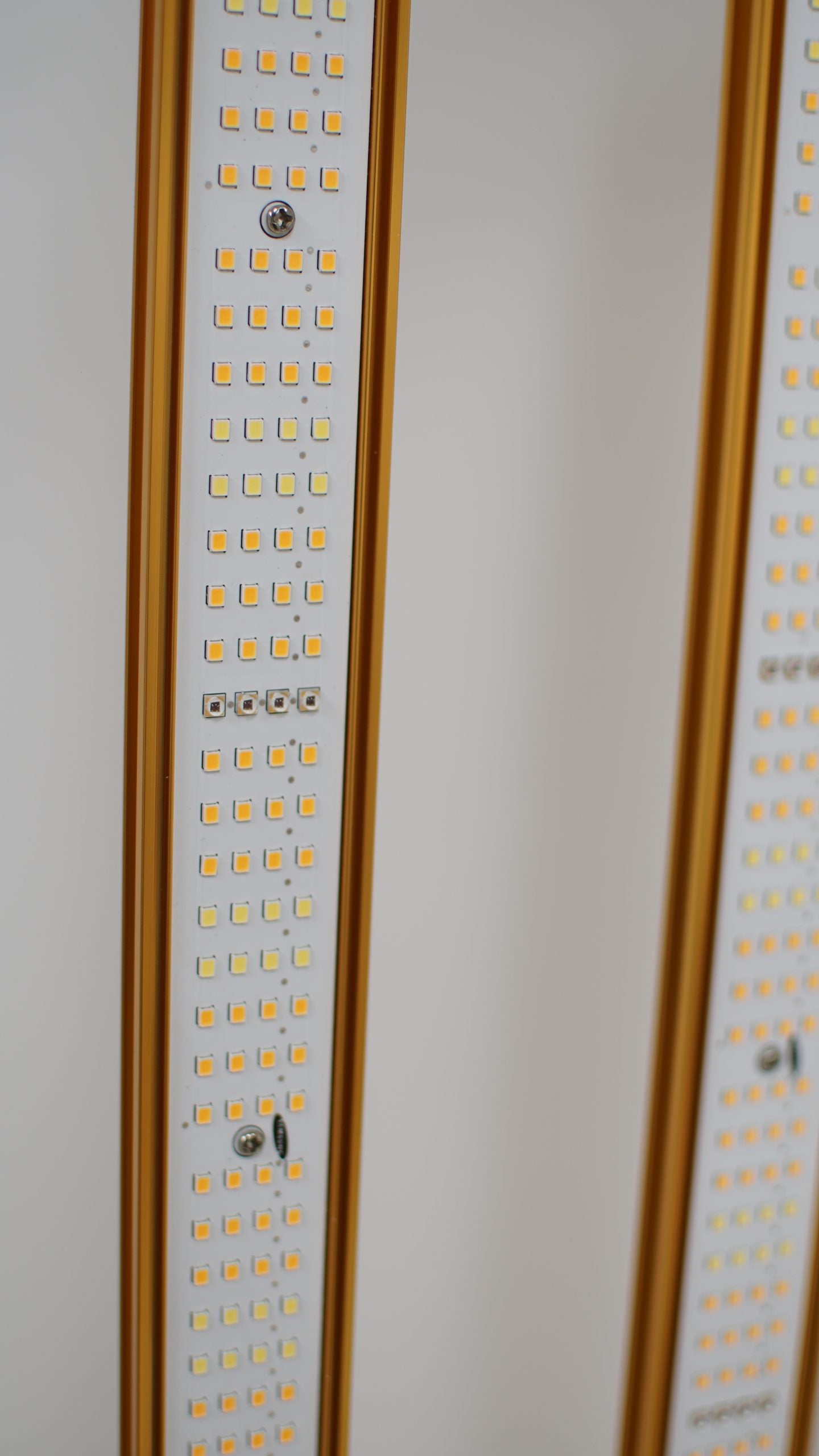 MJ3 Elelectronics LED GOLDPRO SUPERMAX EVO 1000W