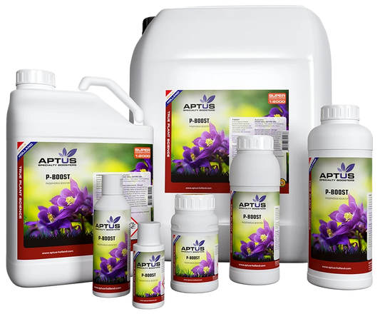 Aptus P Boost - verschiedene Größen