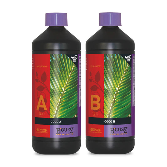 Atami B´cuzz Coco A+B - verschiedene Größen