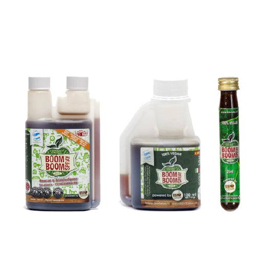 BioTabs Boom Boom Spray 50ml bis 250ml.