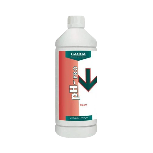 Canna pH- Blüte 10% 1L