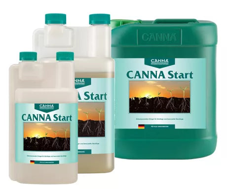 Canna Start - verschiedene Größen