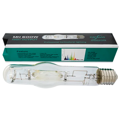 Fertraso MH Wuchs - verschiedene Größen