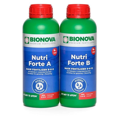 BioNova - Nutri Forte A + B - verschiedene Größen