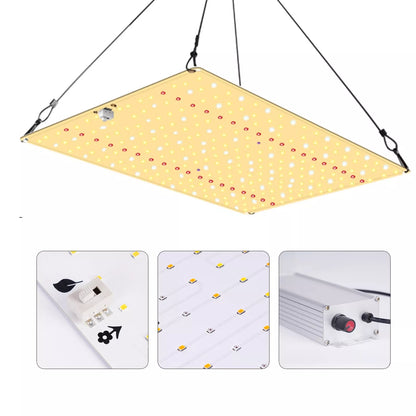 Nice Grow Nice LED, verschiedene Leistungen