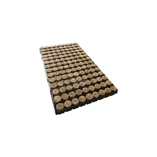 Speed Grow Stecklings Tray Steinwolle verschiedene Größen