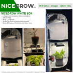 NICEGROW WHITE Box Growzelt Growbox versch. Größen 80 x 80 x 220cm - 2 Etagen